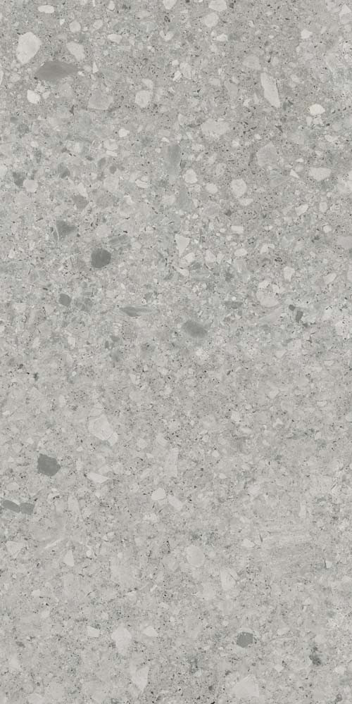 Cortina Grey 600х1200 R matt 1