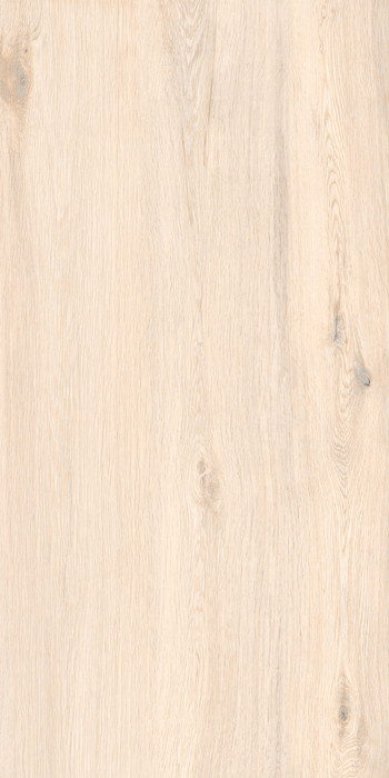 Chateau Natural 600х1200 R matt 1