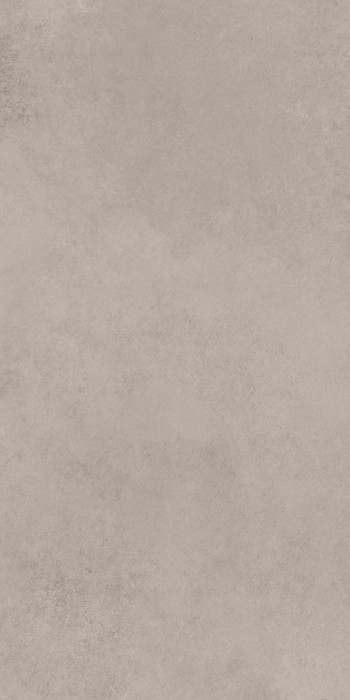 Evoque Grey 600х1200 R matt 1