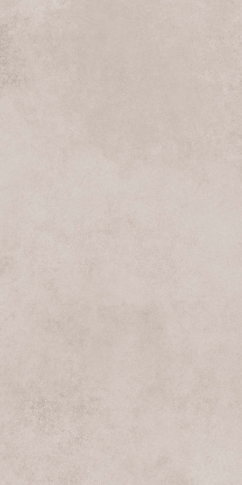 Evoque Light Grey 600х1200 R matt 1