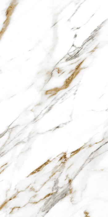 Orochiaro White 600х1200 R matt 1