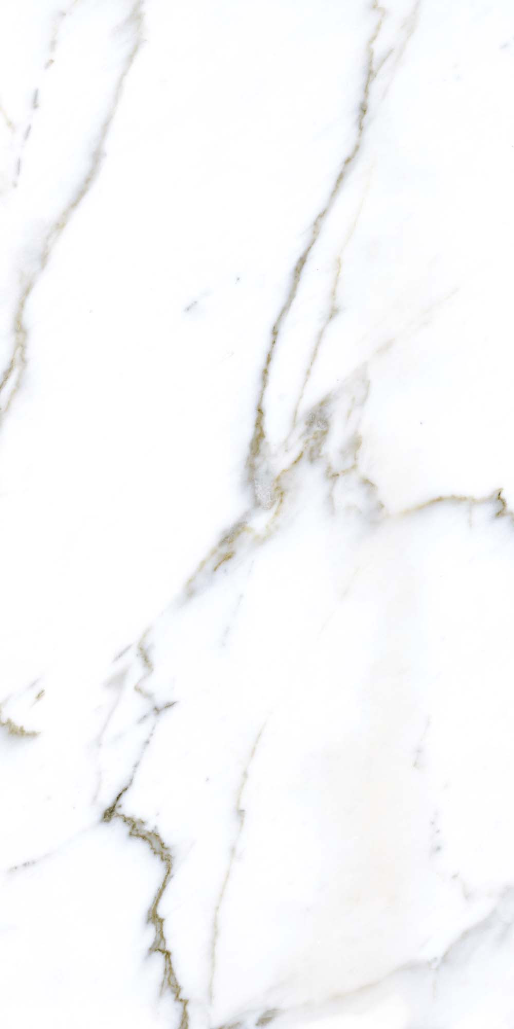 Quarry White 600х1200 R Satin 5