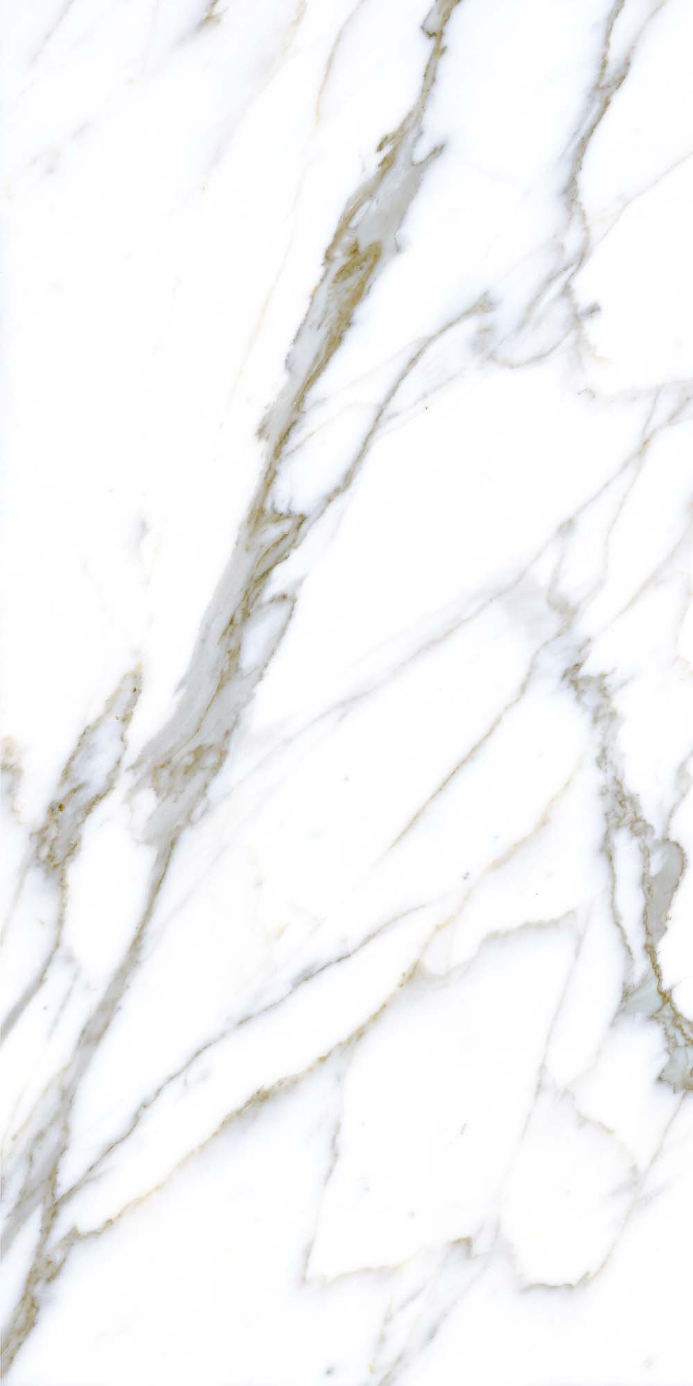 Quarry White 600х1200 R Satin 3