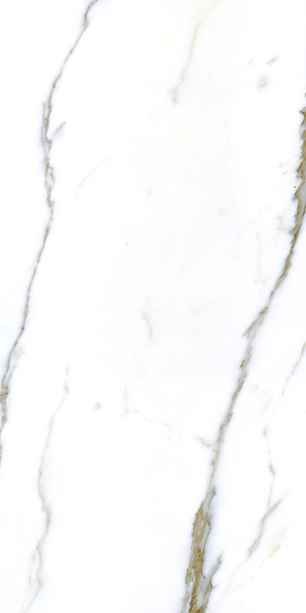 Quarry White 600х1200 R Satin 4