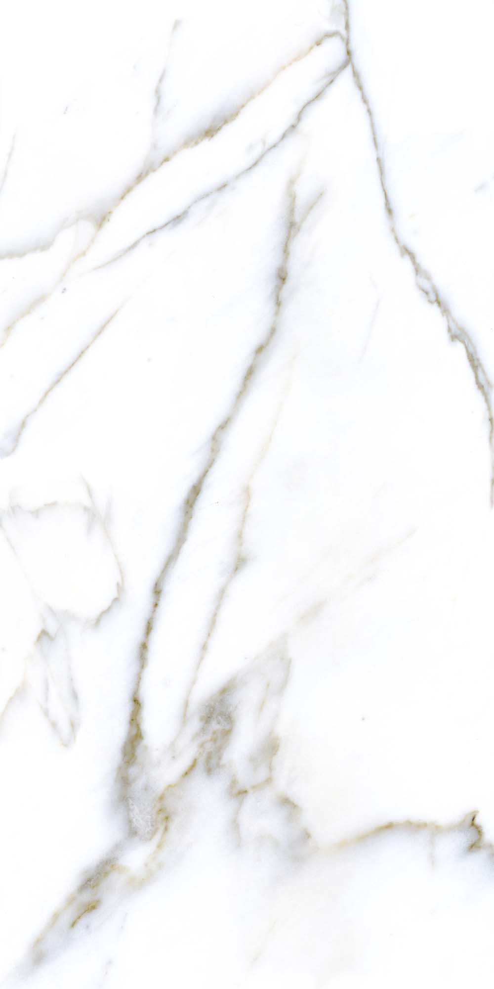 Quarry White 600х1200 R Satin 2